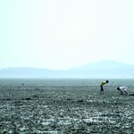 <b>보물</b> 찾기..