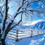 경관이 좋아서 혼자보기가 아깝<b>내요</b>12