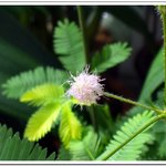 <b>성묘</b>길에서...1