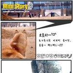 [시베리안 허스키] 새해 첫 <b>산책</b>...