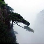 <b>황산</b> 04