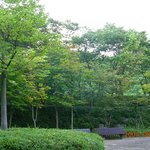 푸르름의 <b>관대</b>함에 물들다