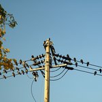 <b>부산시청</b>의 가을