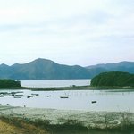 <b>천연</b>기념물 172호 - 까막섬의 상록수림