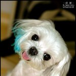 <b>웅후</b>~ 안녕?