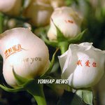 사랑 문구 새겨진 <b>장미</b>…