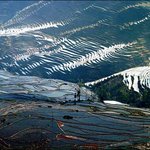 계속 올립<b>니더</b>예
