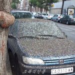 윽 ~ <b>새똥</b>한테 테러당한 순간 -_-