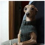 저기..나 <b>차한잔</b>만 갖다줄래?