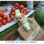 나도 <b>한몫</b>벌어보자