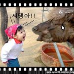 <b>속</b> <b>시원</b>하다