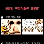 국회의원과 <b>코털</b>의 공통점