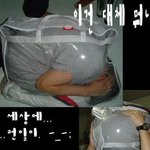 혼자놀기의 <b>진수</b>~~