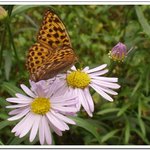 <b>성묘</b>길에서...3