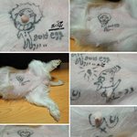 너무나 즐거웠던 <b>낙서</b>