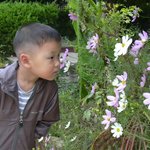 <b>고산</b>-코스모스