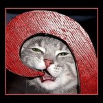 배가 <b>무척</b>이나 고팠나?