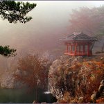 또 올립<b>니더</b>예9