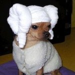 아무도 못말리는 우리집 <b>말썽</b>쟁이랍니다.
