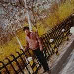 <b>개나리</b>