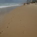 자연과 함께 <b>호흡</b>하는 호주 골드코스트