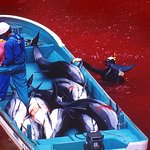 돌고래피바다-일본 타지마을