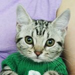 <b>울집</b> 깜찍이입니당