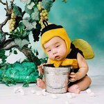 춘곤증에 시달리는 <b>일벌</b>