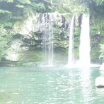 제주도 천지연<b>폭포</b>....