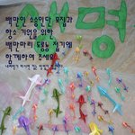 <천성산 지키기> 도룡룡 백만마리 접기 운동~~!!!