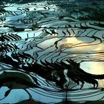 계속 올립<b>니더</b>예3