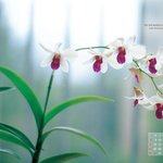 <b>달력</b> 바탕화면 02