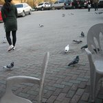 죽<b>도봉</b>의봄