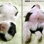 <b>배</b> 가.. <b>통통</b>~