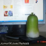 진정한 <b>무선</b>인터넷