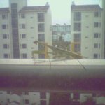 <b>사부</b>님...?