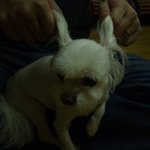 웨리라고<b>하오</b>...