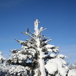 덕유산의 雪景
