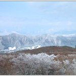 일본 하코네
