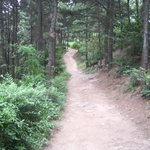 고향 동네, 뒷 산 정상의 오솔길