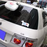 울 <b>강쥐</b>에게 꼭 필요한 스티커