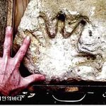1억1천만년 전 <b>백악기</b>의 사람 손자국