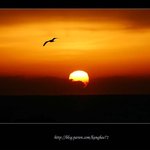 계속 올립<b>니더</b>예5