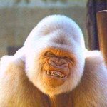 진짜......이런게 <b>살인</b><b>미소</b>라는 겁니다.