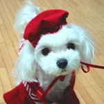 <b>울집</b> 슈퍼모델...^^