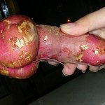 제대로 <b>민망</b>하게 생긴 고구마 ...