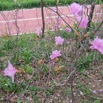 꽃과 함께 운동을 할수있어서 좋아요~
