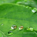 <b>구슬</b>속에..