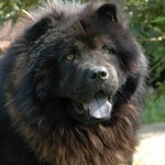 우리집 <b>지킴이</b>