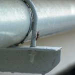 이완호영상/접사/갤러리꿈/dreamgallery.<b>org</b>